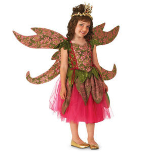 Deluxe Pocket Fairy Child Costume NEW